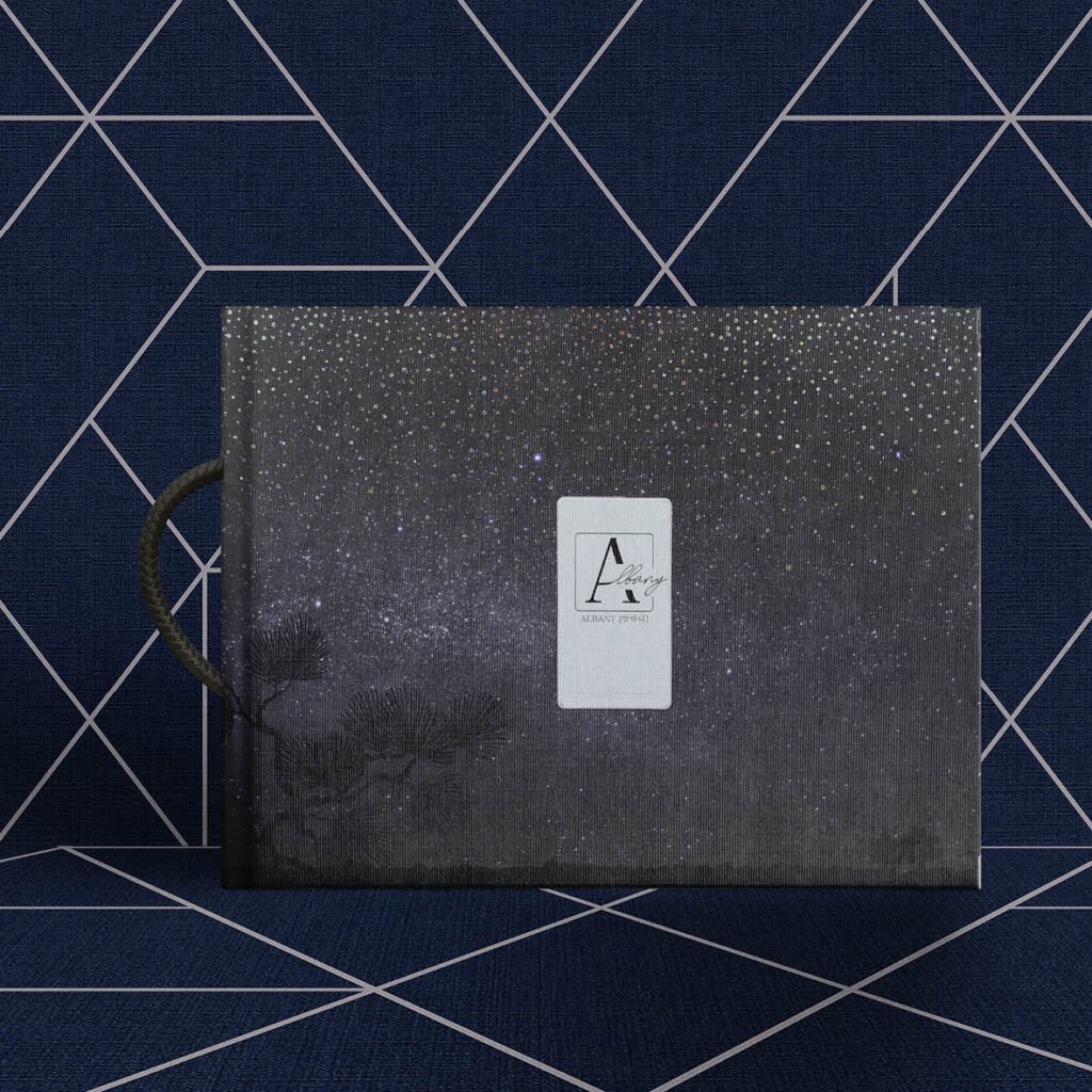 ALBANY COVER IMAGE