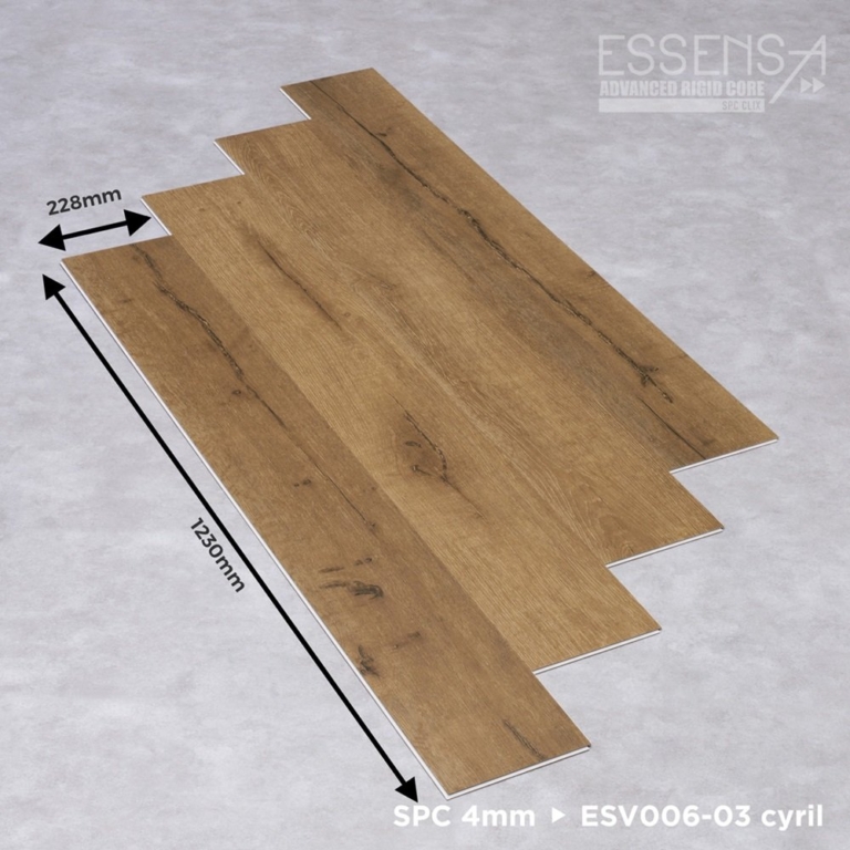 ESV006-03 · Cyril